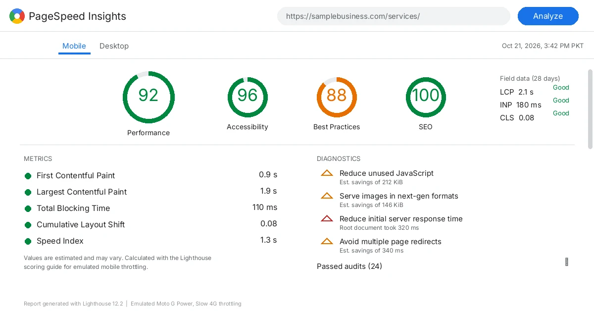 PageSpeed Insights performance report screenshot